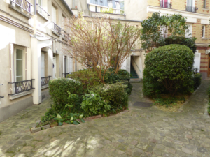 centre-du-maine-cour